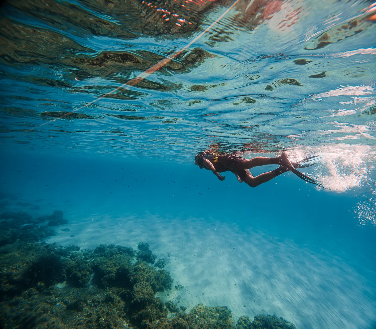 Snorkeling trip