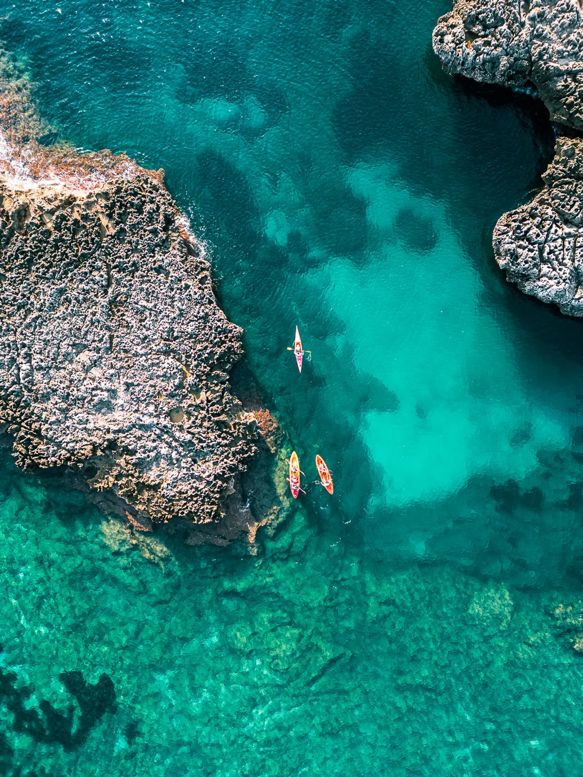 Kayak Tour