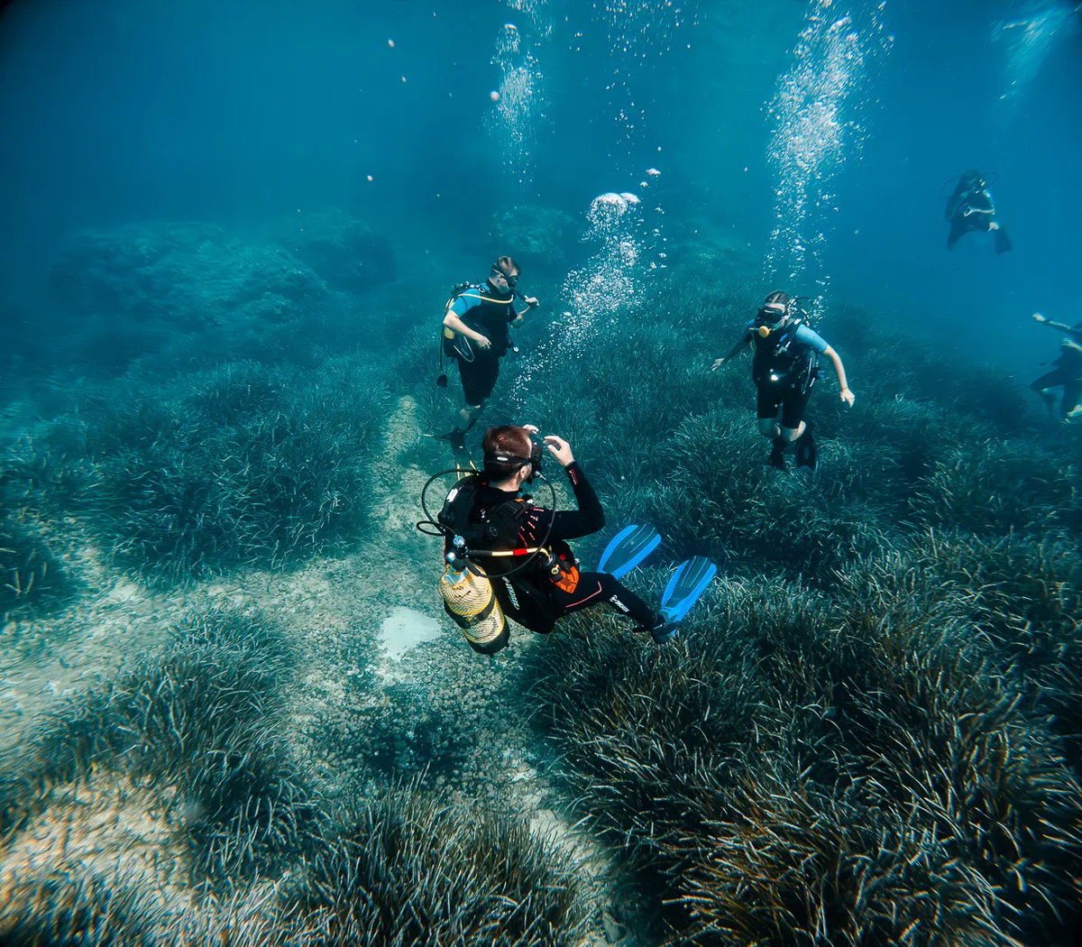 Scuba Diving