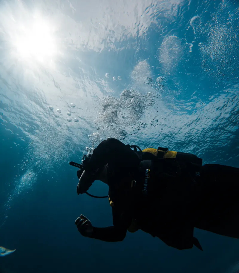 discover-scuba-diving slide 13