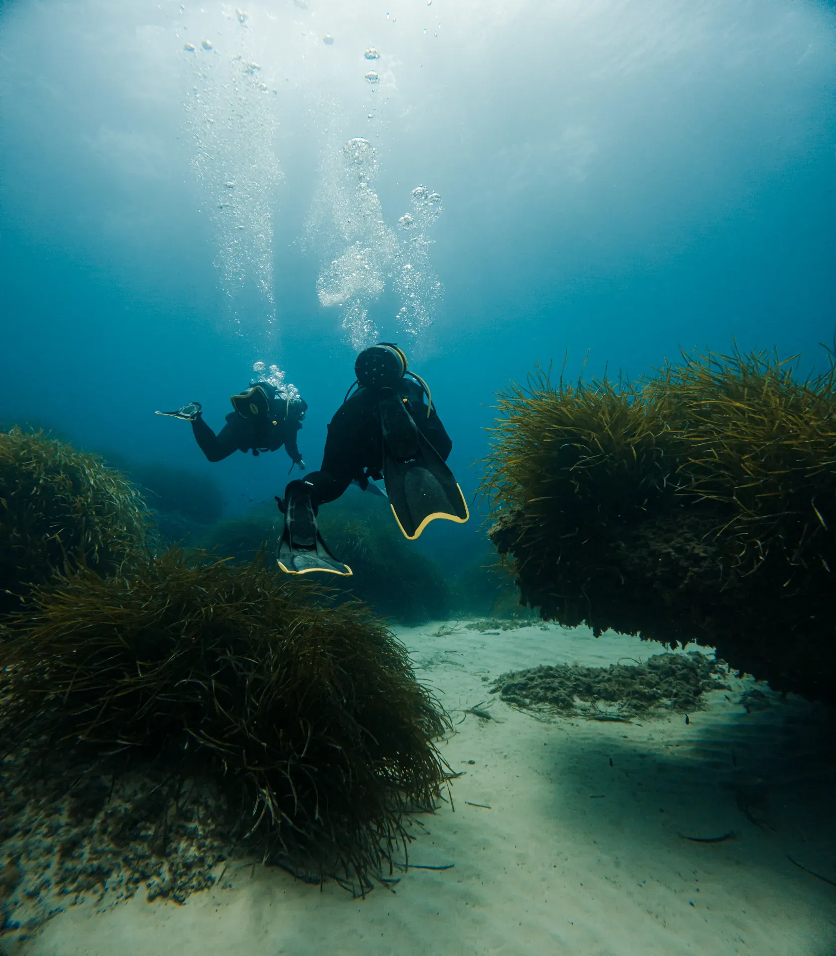 discover-scuba-diving slide 15