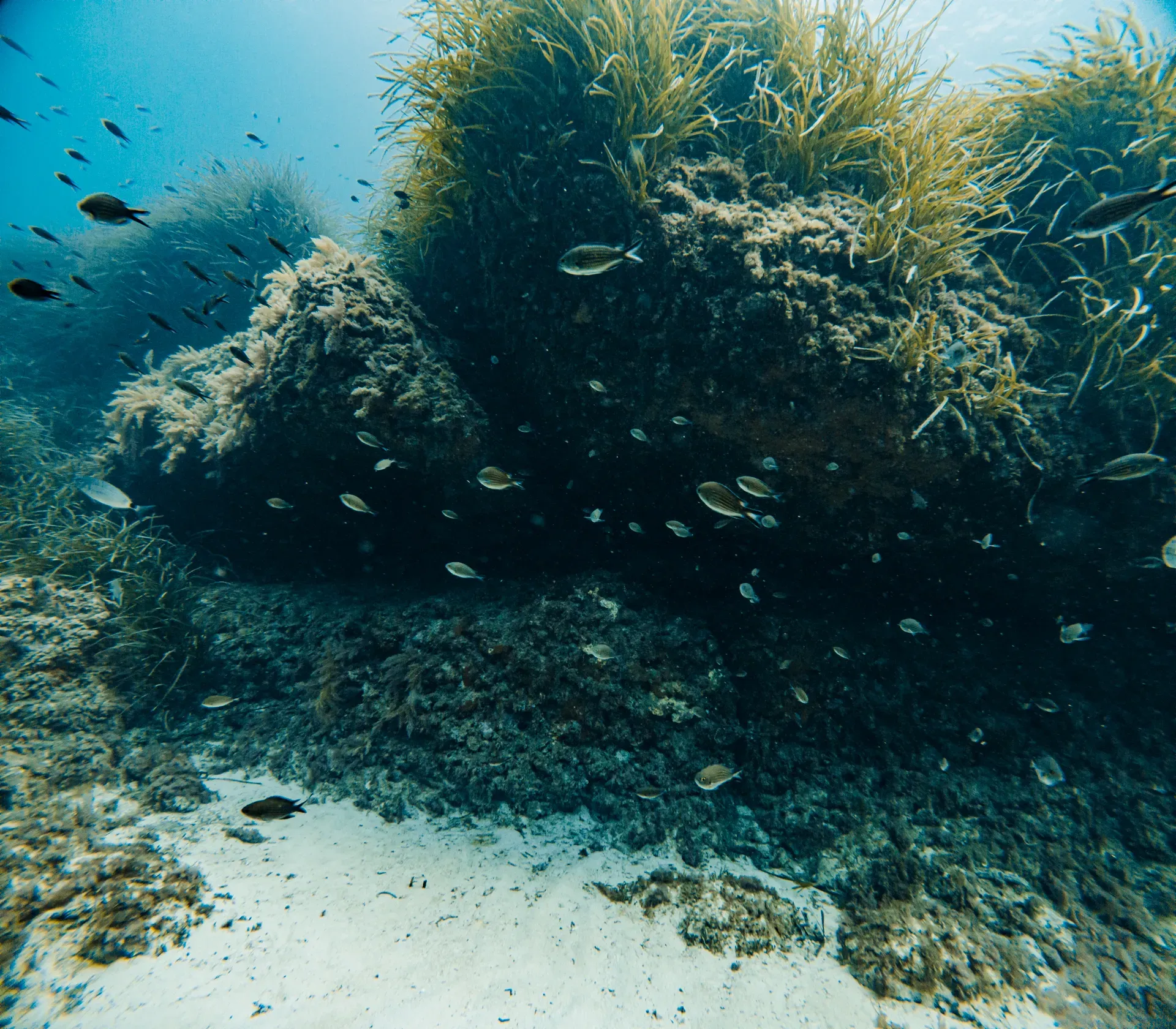 discover-scuba-diving slide 16