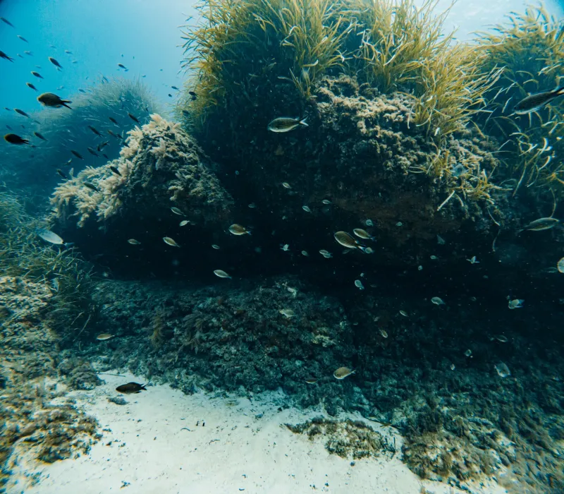 discover-scuba-diving slide 16