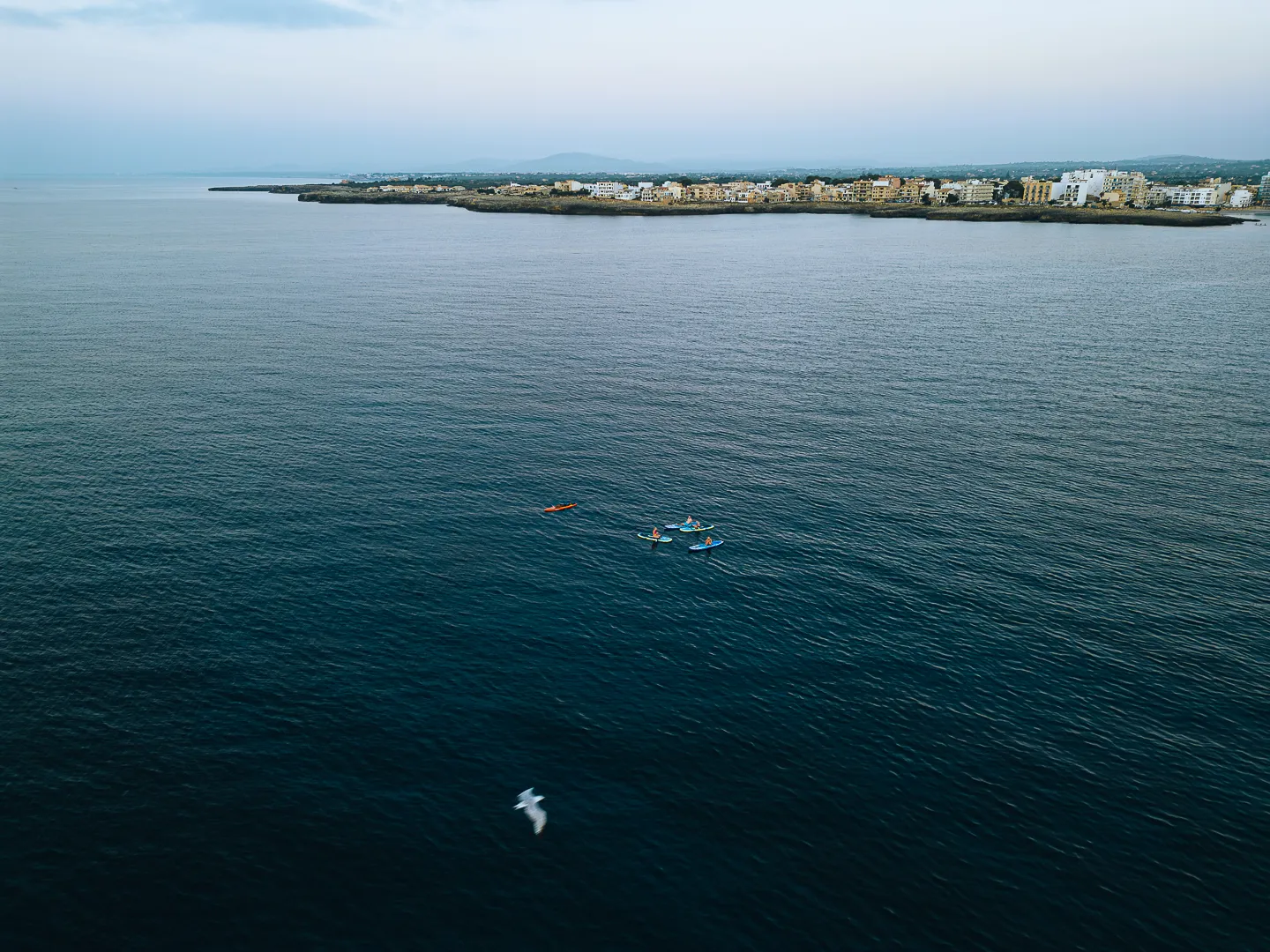 paddle-surf slide 5