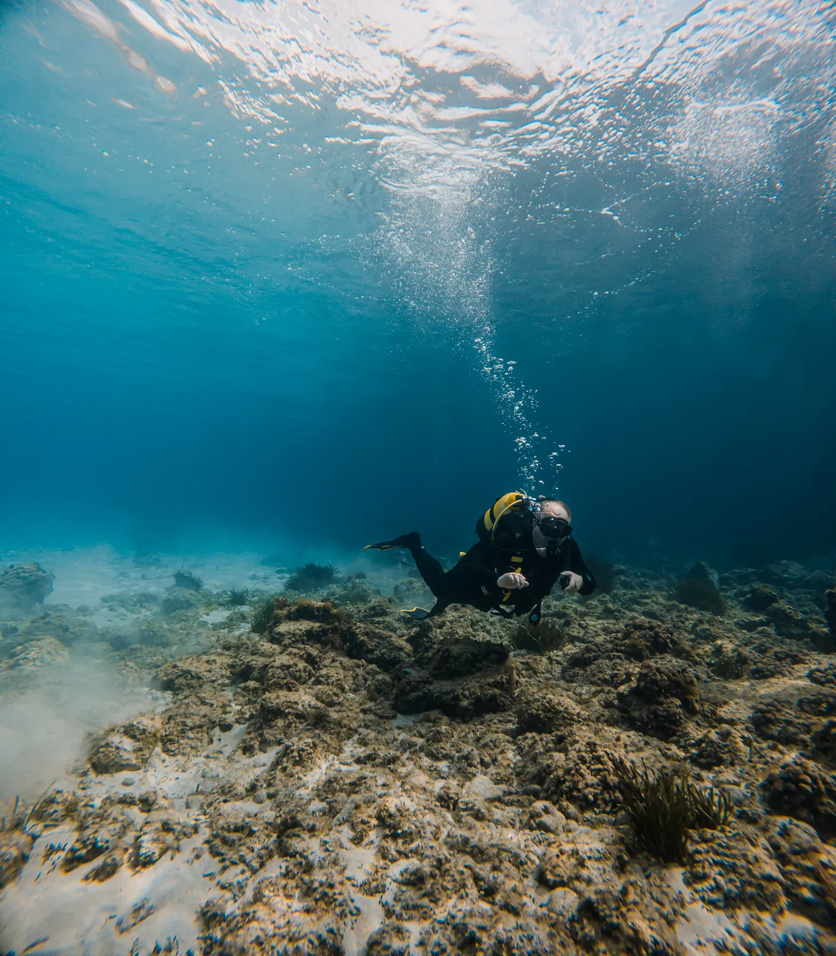 discover-scuba-diving slide 8