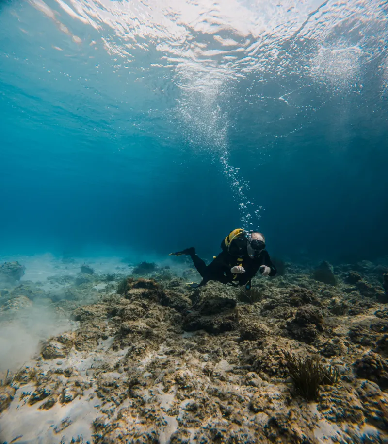 discover-scuba-diving slide 8