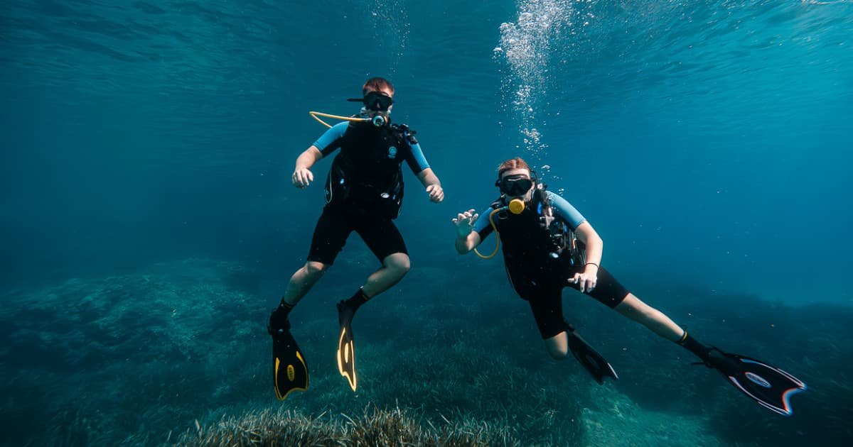 Eco Island Adventure